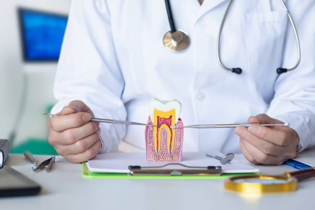 Best Emergency Treatment for Dental Infections or Abscesses in Milam, TX